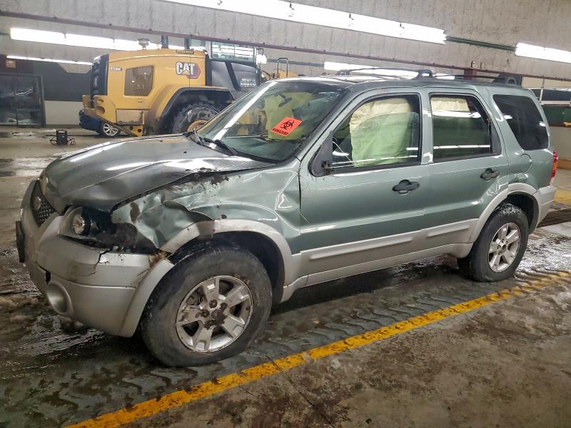 FORD ESCAPE XLT 2007 with VIN 1FMCU93167KB38789 - Photo from auction
