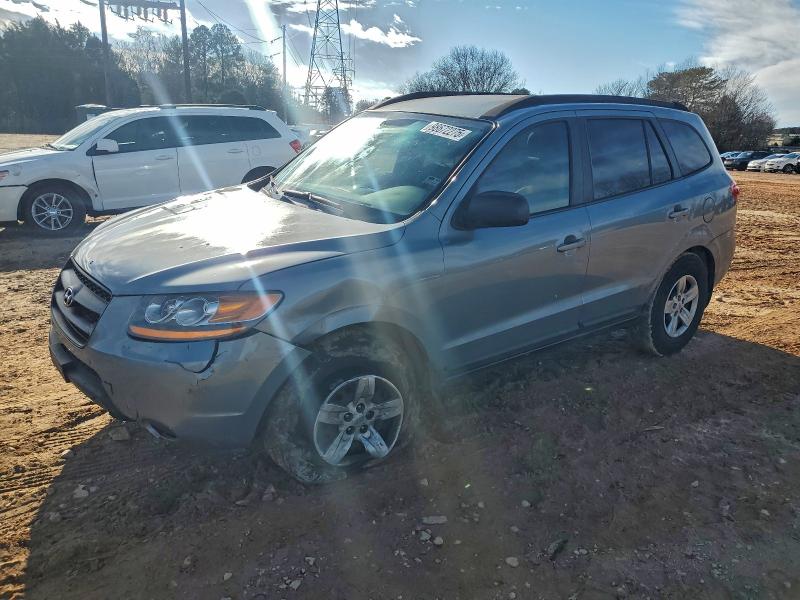 HYUNDAI SANTA FE G 2009 with VIN 5NMSG13D79H317618 - Photo from auction