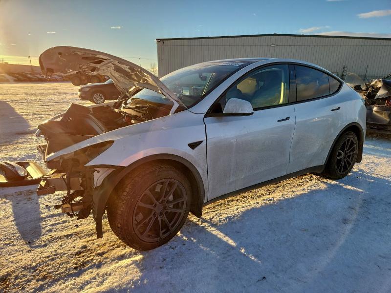 TESLA MODEL Y 2023 with VIN 7SAYGDEE0PF693161 - Photo from auction