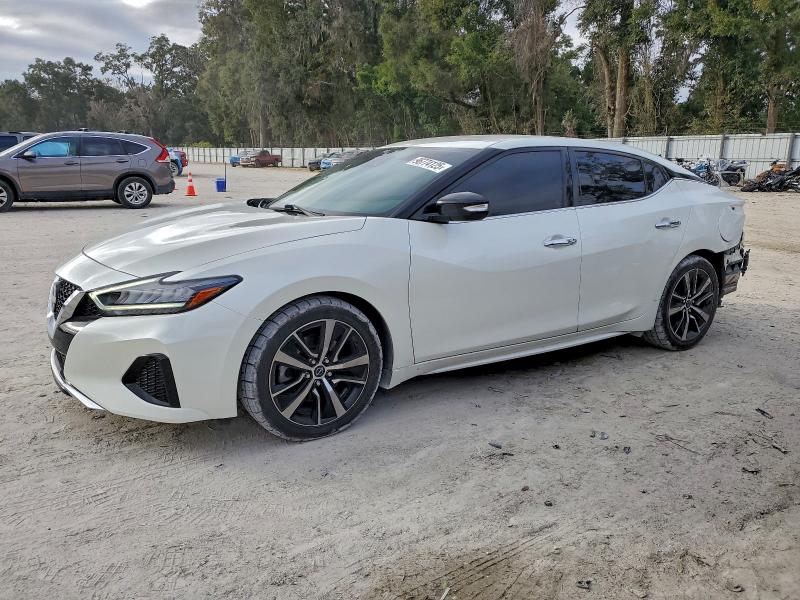 NISSAN MAXIMA SV 2023 with VIN 1N4AA6CVXPC503626 - Photo from auction