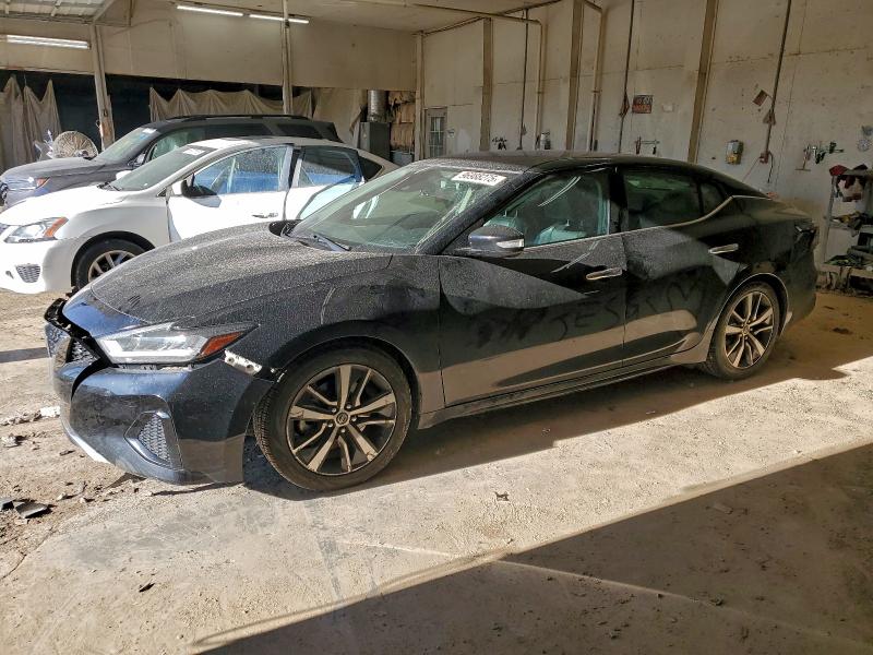 NISSAN MAXIMA SV 2021 with VIN 1N4AA6CV1MC511397 - Photo from auction