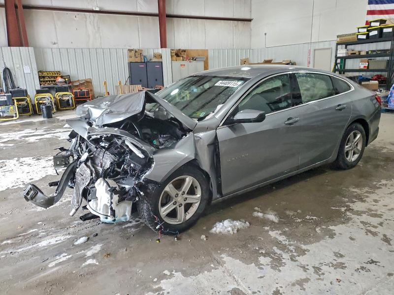 CHEVROLET MALIBU LS 2024 with VIN 1G1ZB5ST9RF249342 - Photo from auction