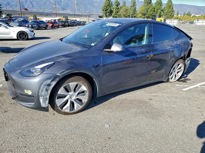 TESLA MODEL Y 2023 with VIN 7SAYGDEEXPF803150 - Photo from auction