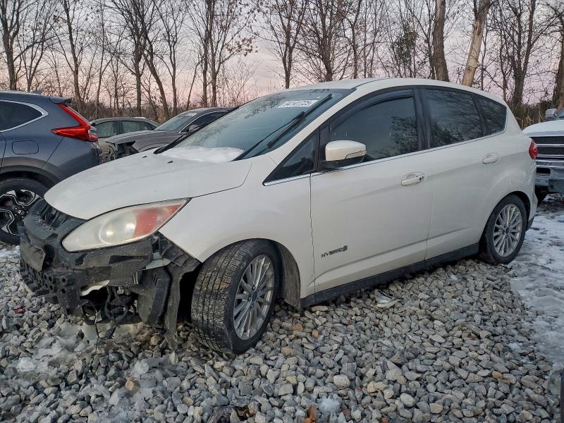 FORD C-MAX SEL 2013 with VIN 1FADP5BUXDL547569 - Photo from auction
