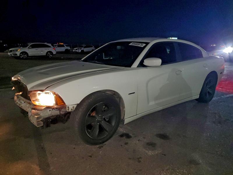 DODGE CHARGER R/ 2014 with VIN 2C3CDXCT3EH144620 - Photo from auction