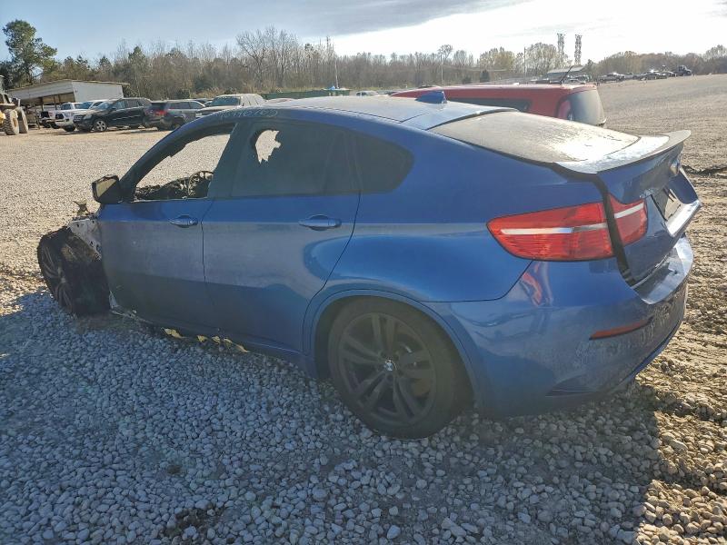 Photo 2 from auction – 2011 BMW X6 M with VIN 5YMGZ0C5XBLK14272