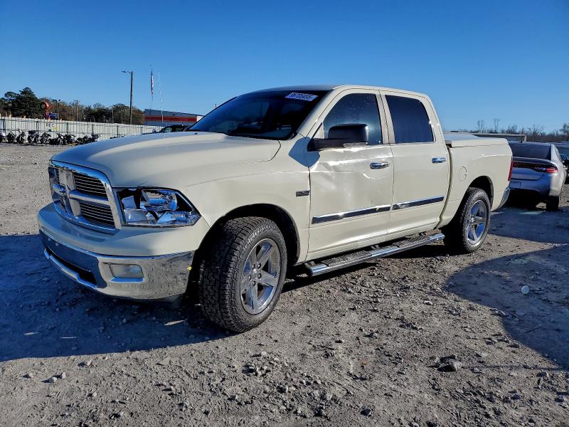 DODGE RAM 1500 2010 with VIN 1D7RB1CT8AS226067 - Photo from auction