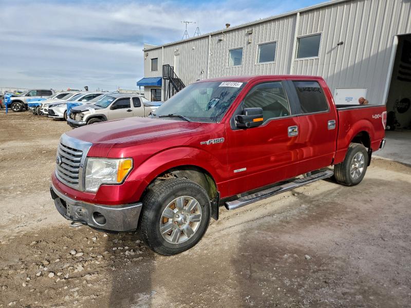 FORD F150 2011 with VIN 1FTFW1ET7BFD12074 - Photo from auction