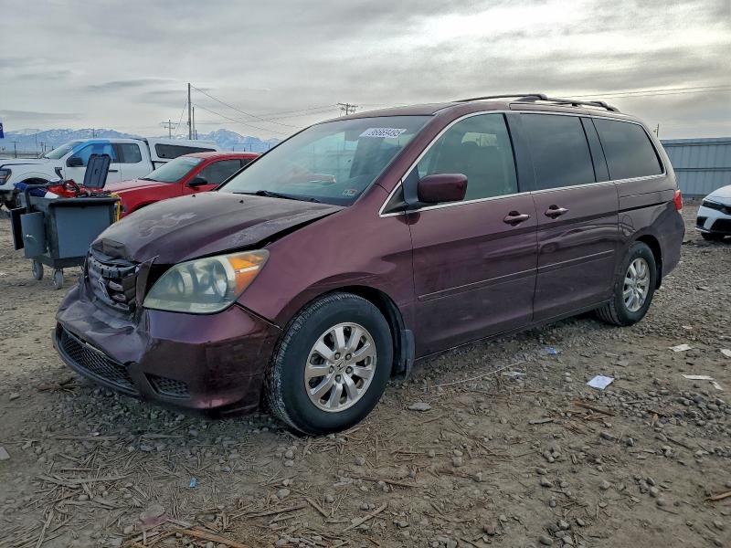 HONDA ODYSSEY 2008 with VIN 5FNRL38788B410432 - Photo from auction