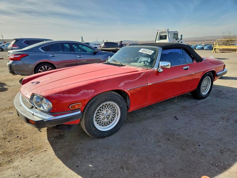 JAGUAR XJS 1990 with VIN SAJNW484XLC172513 - Photo from auction