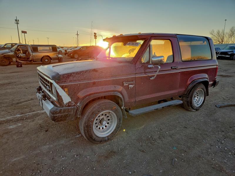FORD BRONCO II 1984 with VIN 1FMCU14S3EUD40712 - Photo from auction