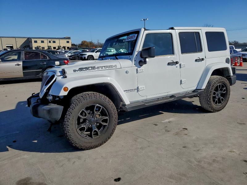 JEEP WRANGLER U 2017 with VIN 1C4BJWEG3HL667203 - Photo from auction