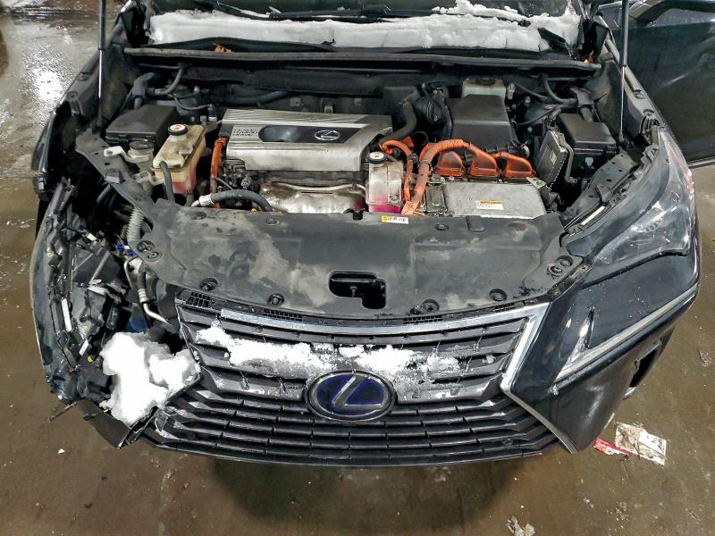 Photo 12 from auction – 2020 LEXUS NX 300H with VIN JTJGJRDZ2L2139187