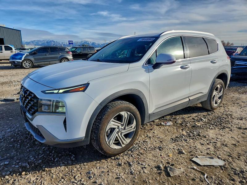 HYUNDAI SANTA FE S 2023 with VIN 5NMS2DAJ4PH538681 - Photo from auction