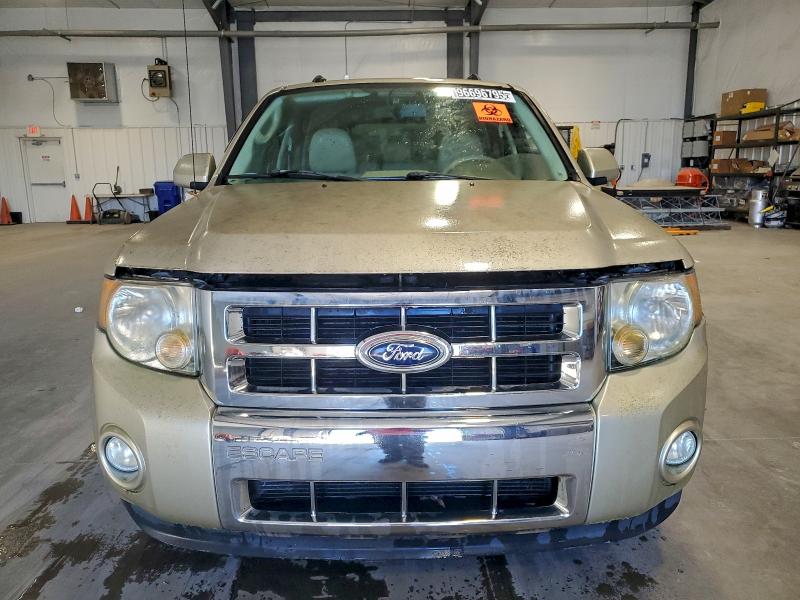 Photo 5 from auction – 2011 FORD ESCAPE LIM with VIN 1FMCU0EG4BKC31199