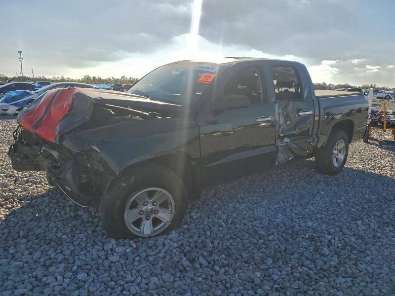 DODGE DAKOTA SXT 2008 with VIN 1D7HE38K08S561817 - Photo from auction