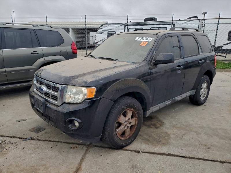 FORD ESCAPE XLT 2009 with VIN 1FMCU03799KB11685 - Photo from auction