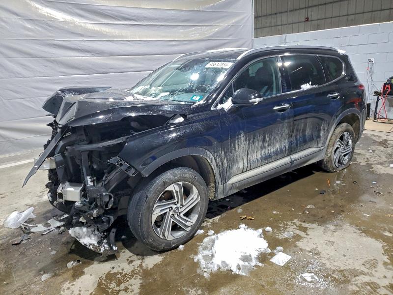 HYUNDAI SANTA FE S 2023 with VIN 5NMS2DAJ9PH593109 - Photo from auction