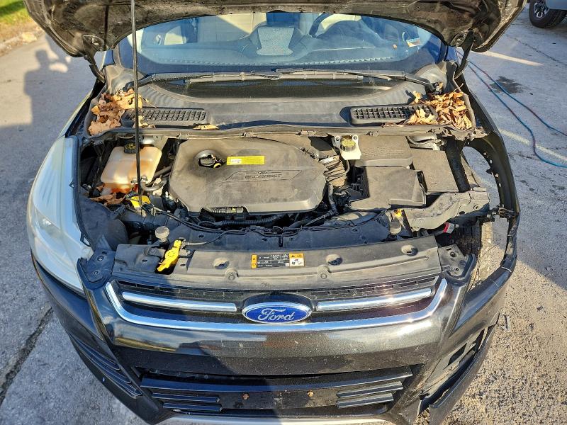 Photo 12 from auction – 2014 FORD ESCAPE with VIN 1FMCU0JX1EUD08769
