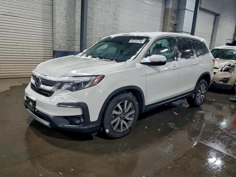 HONDA PILOT EXL 2019 with VIN 5FNYF6H53KB051999 - Photo from auction