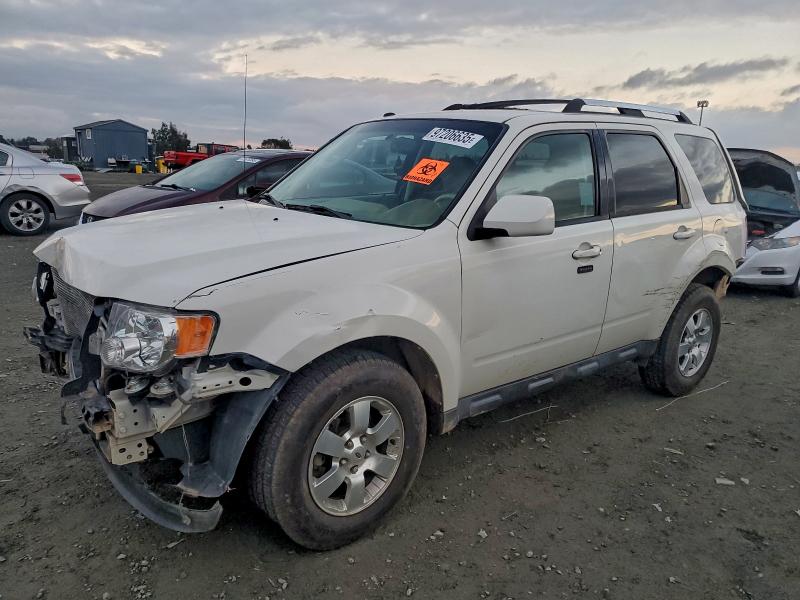 FORD ESCAPE LIM 2011 with VIN 1FMCU9EG6BKC25232 - Photo from auction