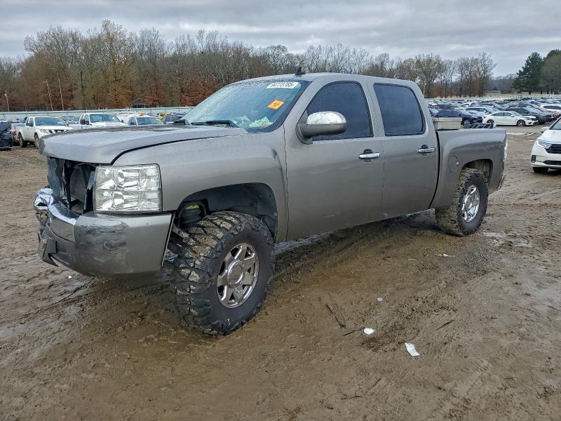CHEVROLET SILVERADO 2009 with VIN 3GCEC13C09G214276 - Photo from auction