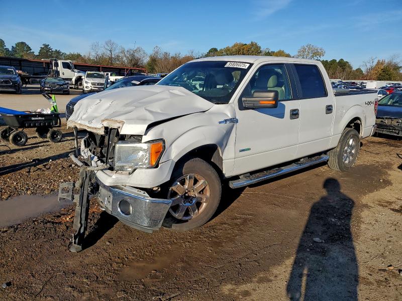 FORD F150 SUPER 2014 with VIN 1FTFW1ET2EFB81723 - Photo from auction