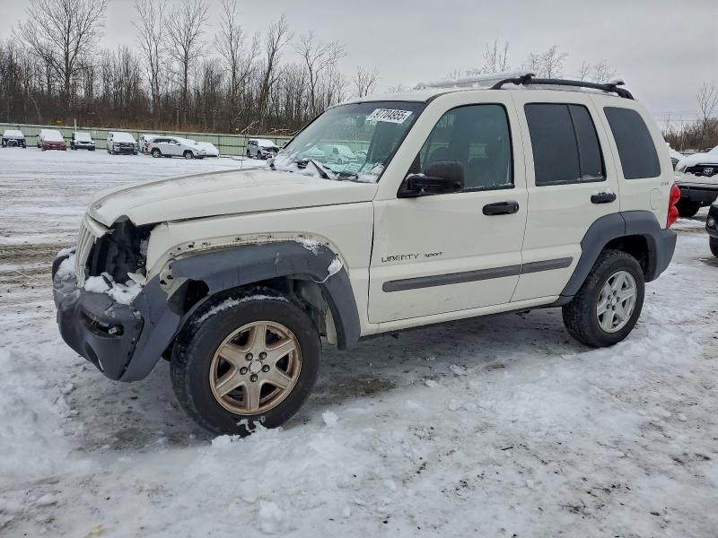 JEEP LIBERTY SP 2002 with VIN 1J4GL48K22W116149 - Photo from auction