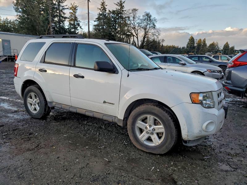Photo 4 from auction – 2009 FORD ESCAPE with VIN 1FMCU593X9KA71327