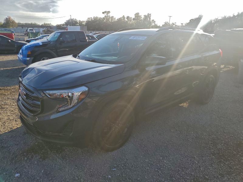 GMC TERRAIN SL 2020 with VIN 3GKALMEV9LL153334 - Photo from auction