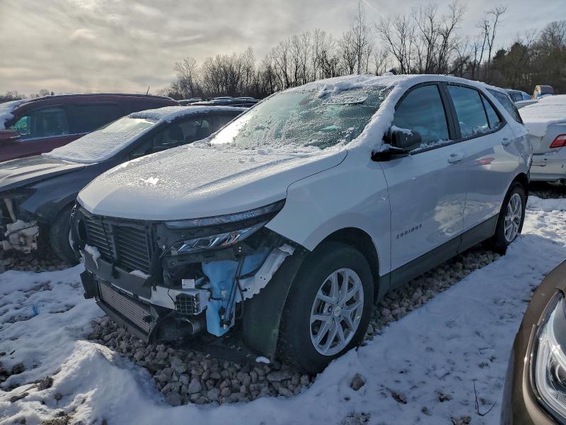 CHEVROLET EQUINOX LS 2023 with VIN 3GNAXFEG2PL252863 - Photo from auction