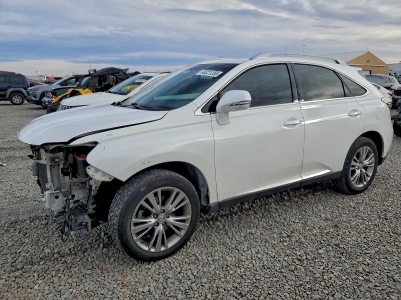 LEXUS RX 350 BAS 2013 with VIN 2T2BK1BA8DC222033 - Photo from auction