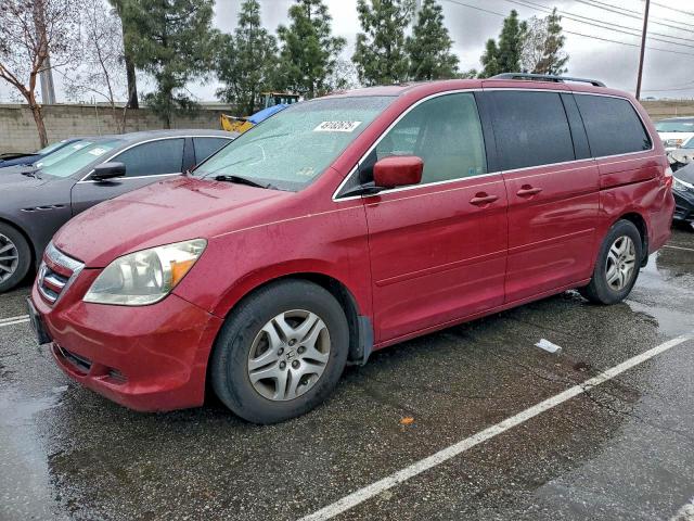 HONDA ODYSSEY EX 2005 with VIN 5FNRL38735B076922 - Photo from auction