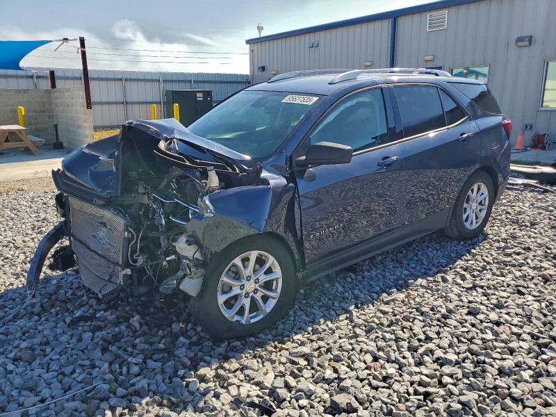 CHEVROLET EQUINOX LS 2019 with VIN 3GNAXHEV7KL280242 - Photo from auction