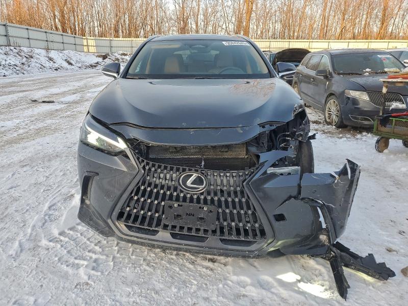 Photo 5 from auction – 2025 LEXUS NX with VIN 2T2GKCEZ7SC038332