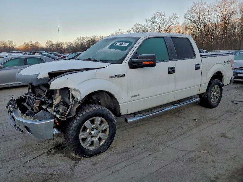 FORD F150 2011 with VIN 1FTFW1ET7BFC46996 - Photo from auction