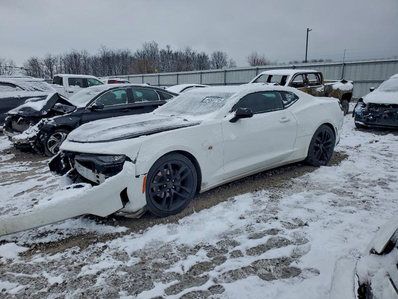 CHEVROLET CAMARO LS 2019 with VIN 1G1FA1RX5K0119316 - Photo from auction