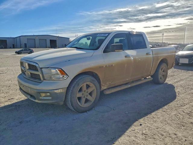 DODGE RAM 1500 2009 with VIN 1D3HV13T29S741730 - Photo from auction