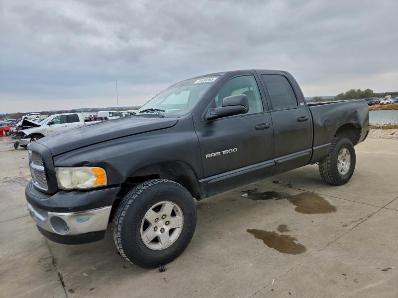 DODGE RAM 1500 2002 with VIN 1D7HU18Z72S585950 - Photo from auction