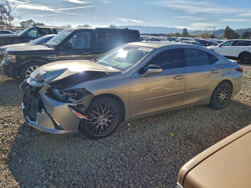 LEXUS ES 300H 2019 with VIN JTHB21B16K2006793 - Photo from auction