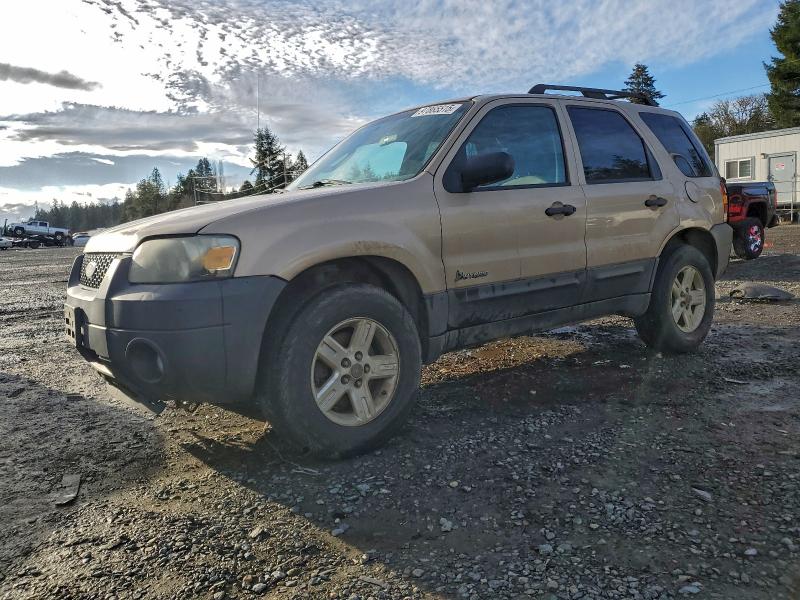 FORD ESCAPE HEV 2007 with VIN 1FMYU59H87KB77953 - Photo from auction