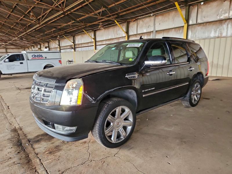 CADILLAC ESCALADE L 2008 with VIN 1GYEC63818R164604 - Photo from auction