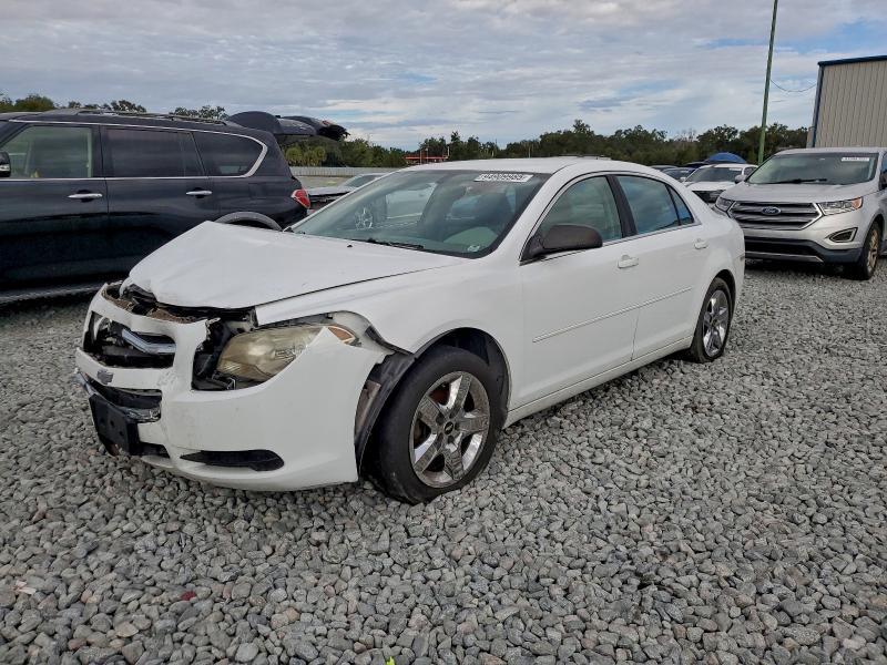 CHEVROLET MALIBU 2010 with VIN 1G1ZB5EB6AF202065 - Photo from auction