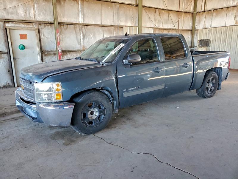 CHEVROLET SILVERADO 2013 with VIN 3GCPCSE01DG160920 - Photo from auction