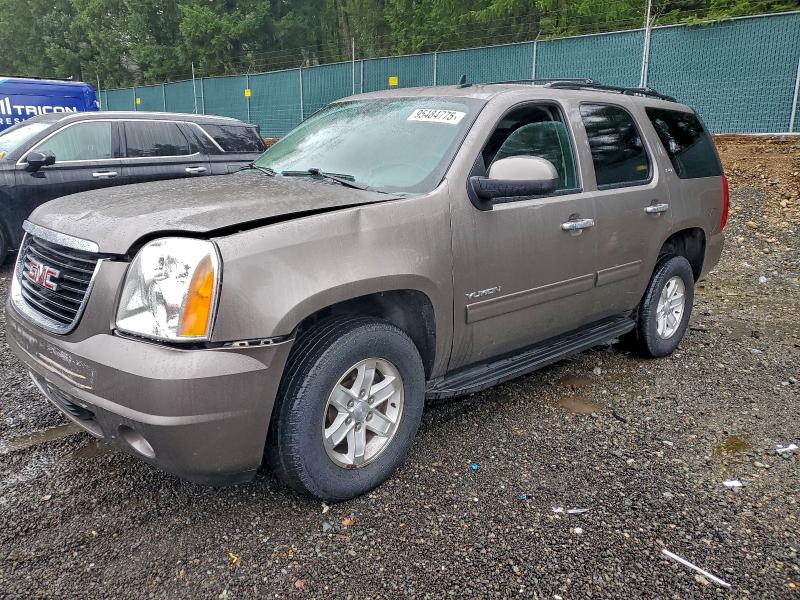 GMC YUKON SLT 2013 with VIN 1GKS2CE01DR234649 - Photo from auction