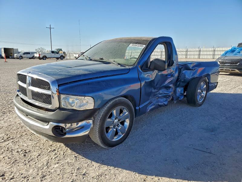 DODGE RAM 1500 2002 with VIN 1D7HA16K22J217969 - Photo from auction