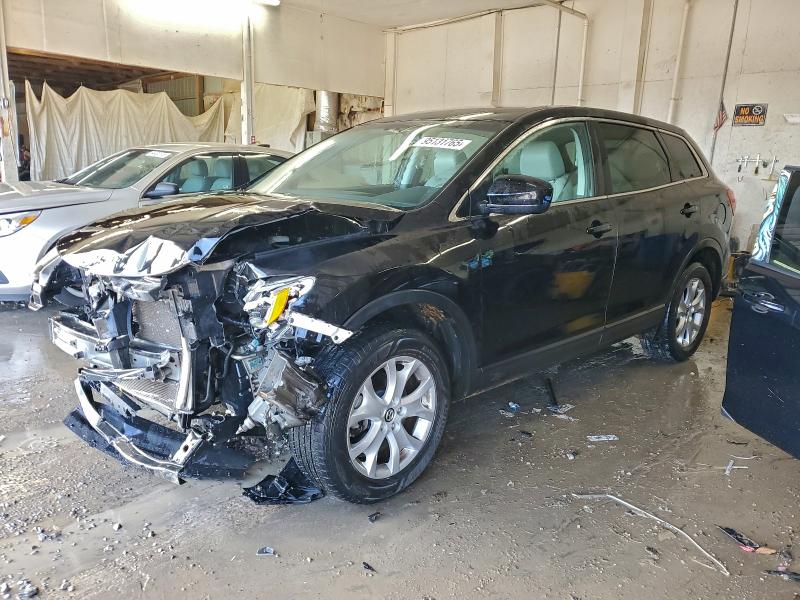 MAZDA CX-9 TOURI 2013 with VIN JM3TB3CA8D0404643 - Photo from auction