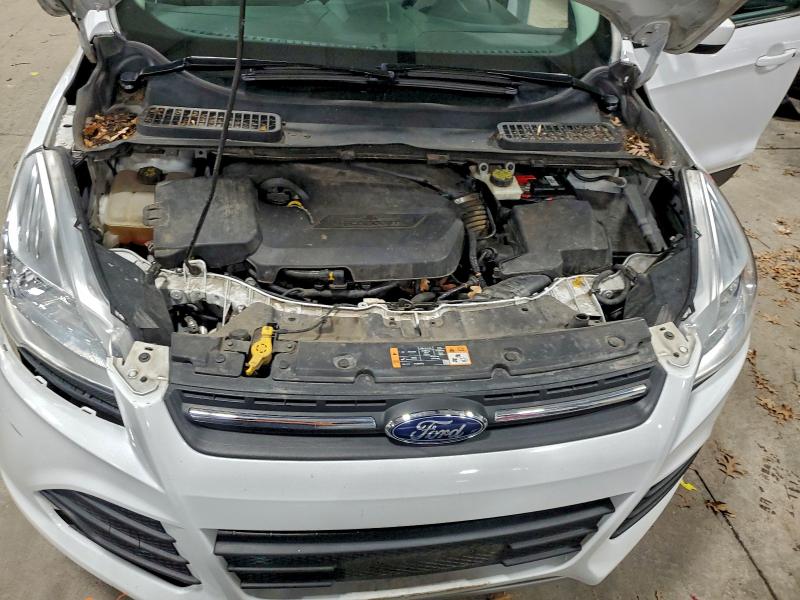 Photo 12 from auction – 2014 FORD ESCAPE SE with VIN 1FMCU9GXXEUE52896