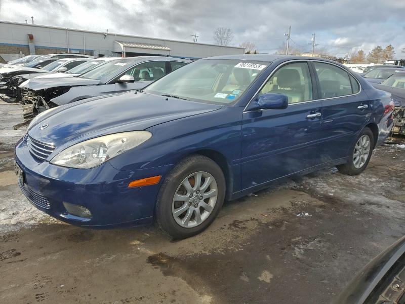LEXUS ES 300 2003 with VIN JTHBF30GX36004692 - Photo from auction