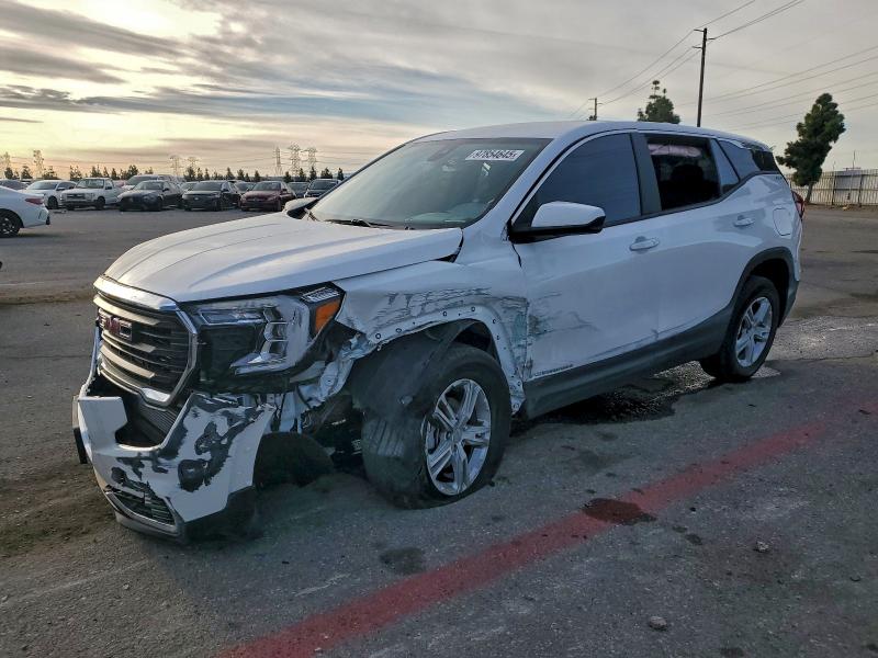 GMC TERRAIN 2024 with VIN 3GKALMEG0RL379014 - Photo from auction
